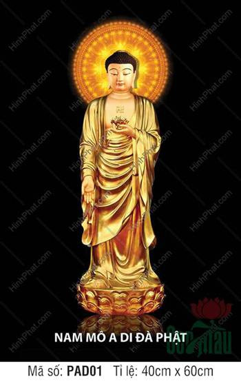 Ảnh Phật Di Đà ngồi thiền với ánh hào quang tỏa sáng, biểu tượng cho sự giác ngộ và an lạc