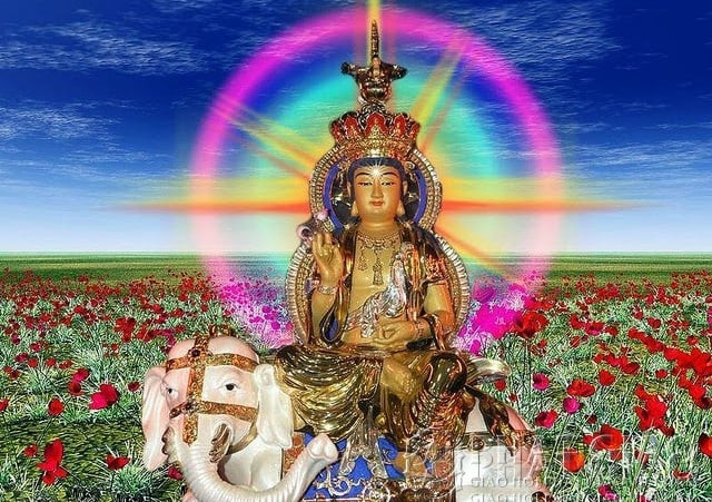 Bồ Tát Phổ Hiền với pháp khí đặc trưng và voi trắng sáu ngà