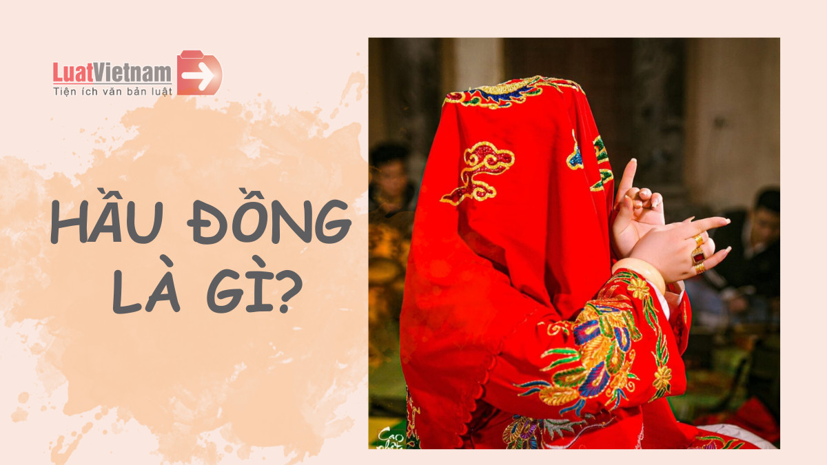 Cậu Đồng là gì