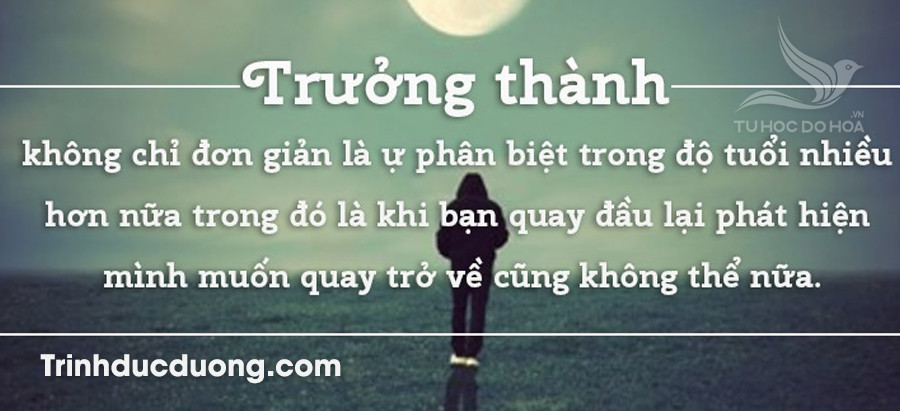 Chấp nhận là gì: Dấu hiệu của sự trưởng thành trong tư duy và hành động