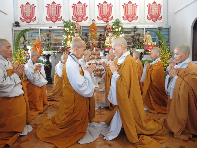 Chư Tăng Ni chuyên tâm tu học trong ba tháng an cư kiết hạ
