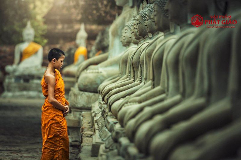 Con đường hoàn đạo để đạt giác ngộ