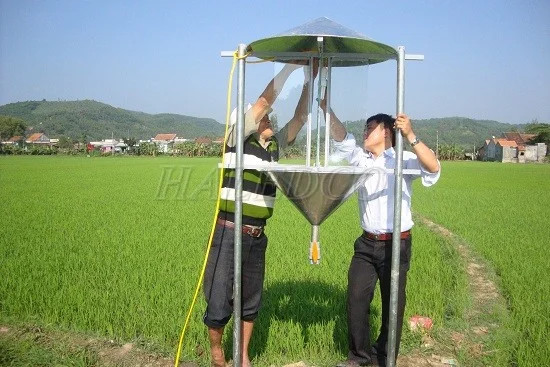 Đèn chong đèn được sử dụng để bẫy côn trùng và sâu bệnh hại, bảo vệ cây trồng hiệu quả