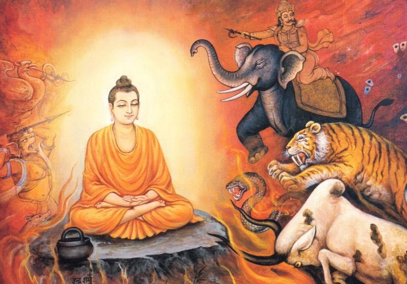 Đôi mắt sáng của Phật Thích Ca Mâu Ni, biểu tượng của sự tinh tế và thanh tịnh.