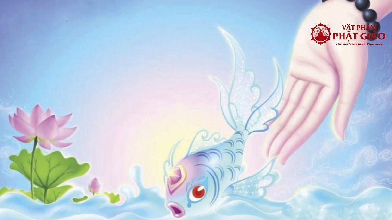 Hành động phóng sinh cá về với môi trường tự nhiên, thể hiện lòng từ bi trong thập thiện nghiệp