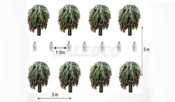Hệ thống đèn chong đèn hiện đại áp dụng trong giai đoạn chính vụ cho vườn thanh long