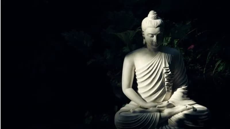 Hình A Di Đà Phật ngồi trên tòa sen thanh tịnh, biểu trưng cho sự thoát ly khỏi phiền não và giác ngộ viên mãn.