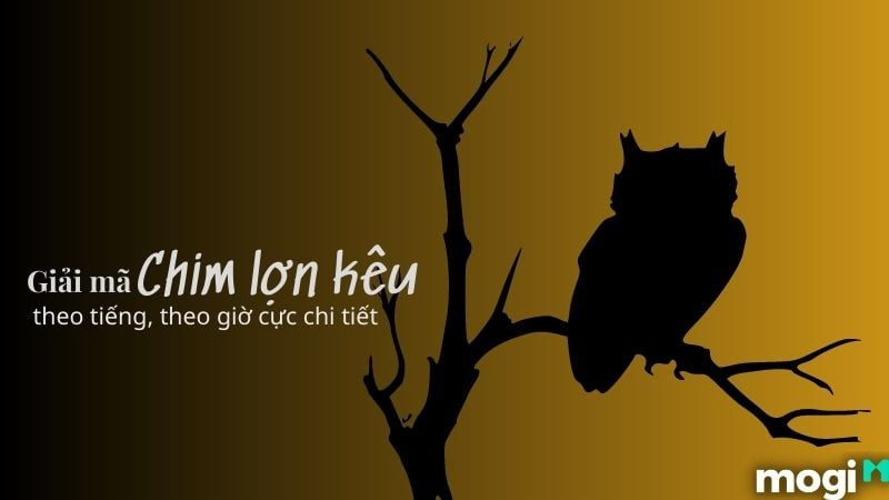 Hình ảnh chim lợn kêu trong đêm tối, tạo không khí huyền bí.