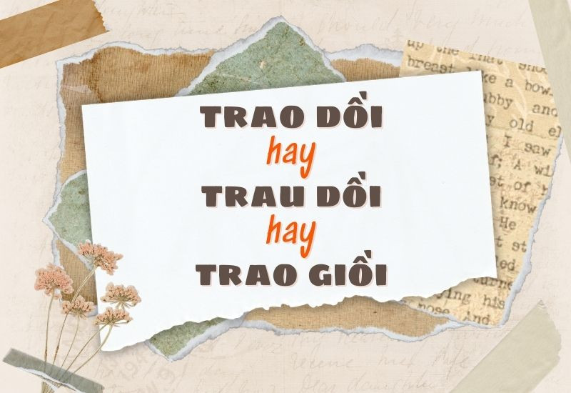 Hình ảnh minh họa sự khác biệt giữa trau dồi và các từ viết sai chính tả