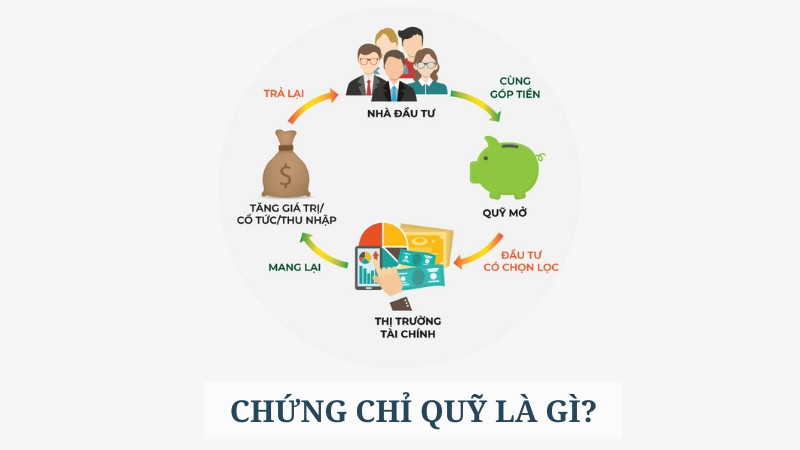 Hình ảnh mô tả việc tìm hiểu khái niệm và đặc điểm của chứng chỉ quỹ