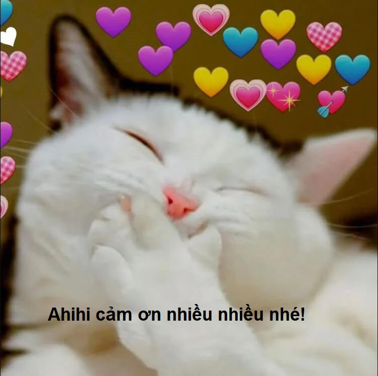 Hình ảnh một cô gái đội ơn hài hước