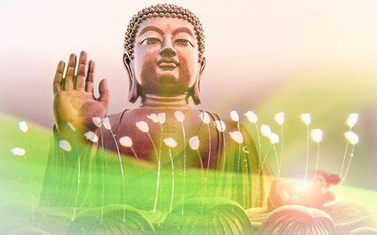 Hoa ưu đàm trắng trong tượng trưng cho sự thanh tịnh trong triết lý Phật giáo
