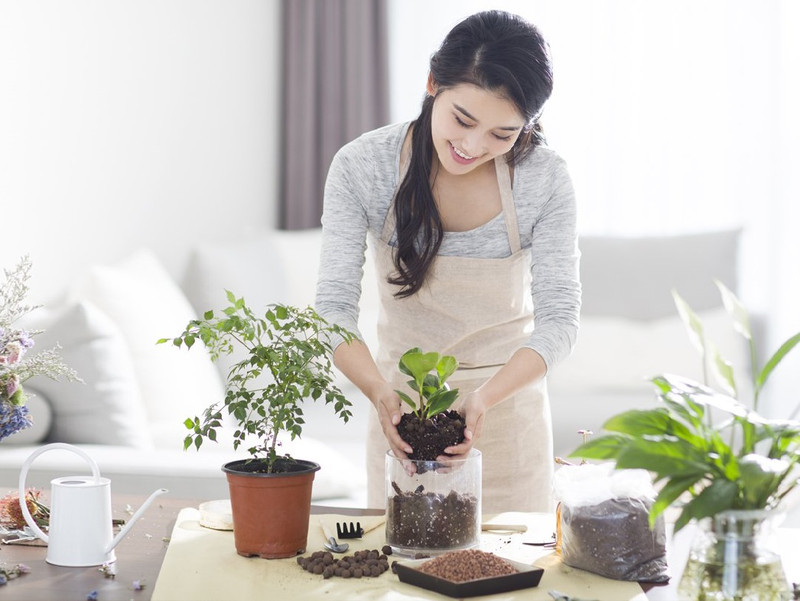 Một người đang chăm sóc cây xanh trong vườn, hoạt động giúp nuôi dưỡng tinh thần và thực hành tĩnh tâm hiệu quả.