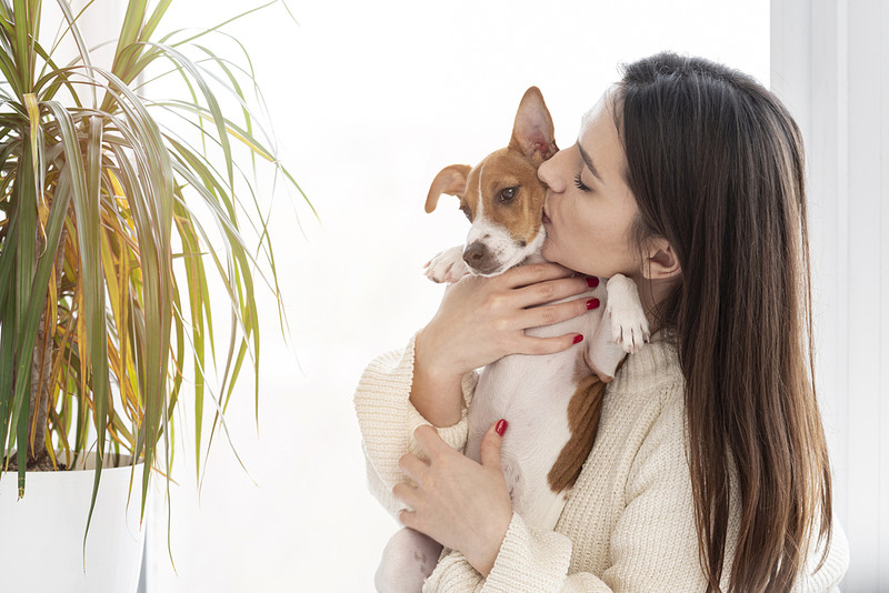 Một người đang vuốt ve chú mèo của mình, thể hiện sự kết nối giúp giảm căng thẳng và đạt trạng thái tĩnh tâm.