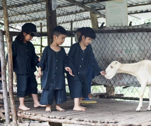 Một vị sư đang thực hành lòng từ bi, thể hiện sự tránh sát sinh và yêu thương vạn vật trong giáo lý Phật giáo.