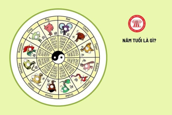 Người đang đối mặt với những thách thức trong năm tuổi.