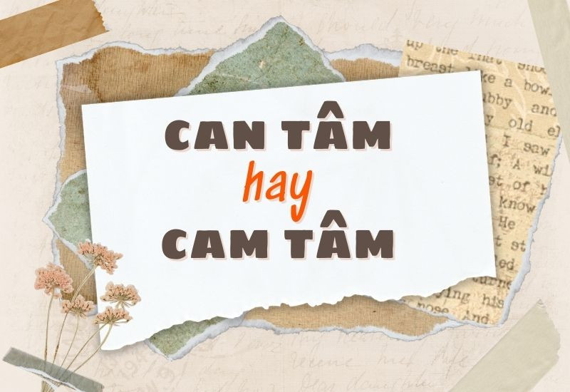 Người đang viết trên giấy với hai lựa chọn "Can Tâm" và "Cam Tâm", minh họa việc phân biệt chính tả trong tiếng Việt