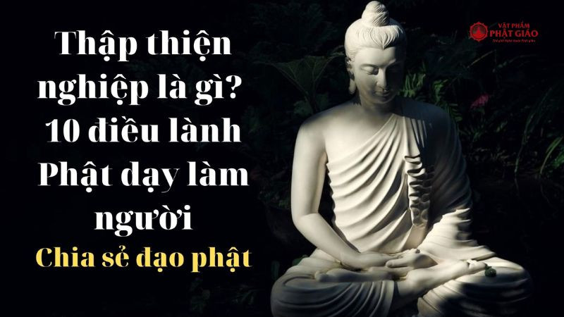 Người tu tập Phật pháp với tâm thanh tịnh, hướng đến thực hành thập thiện nghiệp