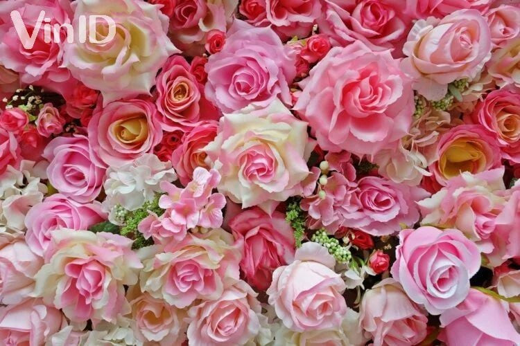 Những bông hoa hồng màu hồng nhạt tượng trưng cho lời cảm ơn và sự ngưỡng mộ tinh tế