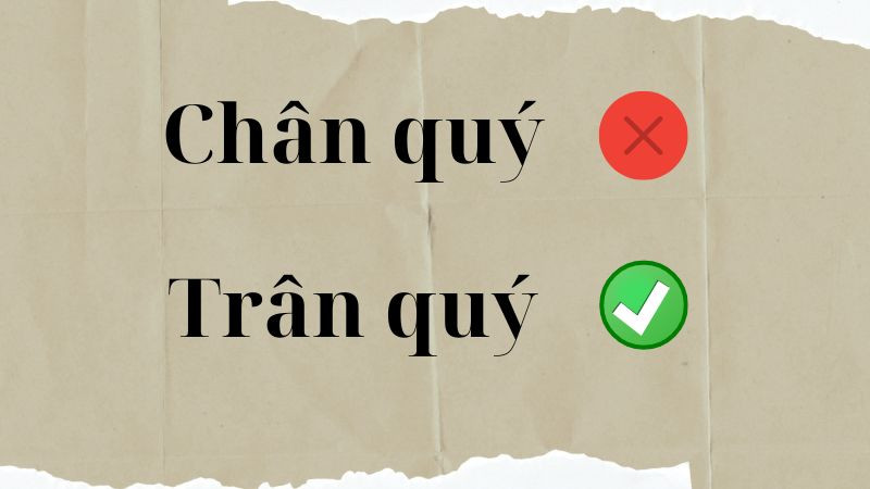 Phân biệt chân quý hay trân quý là gì qua ví dụ