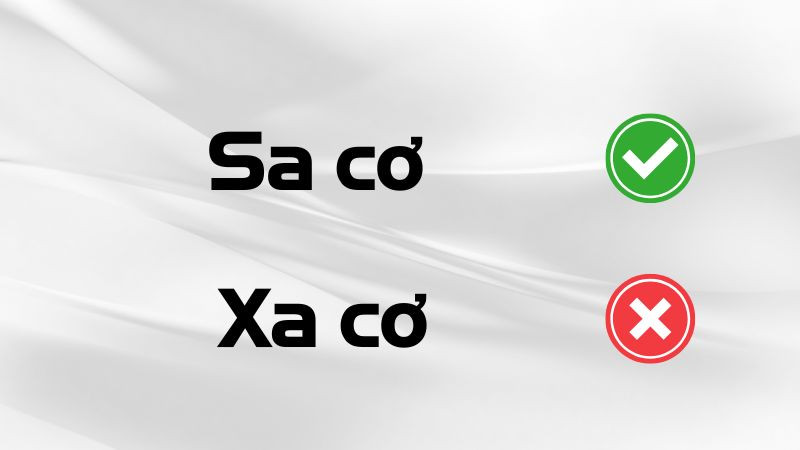 Phân biệt giữa sa cơ và xa cơ, đâu là cách viết đúng