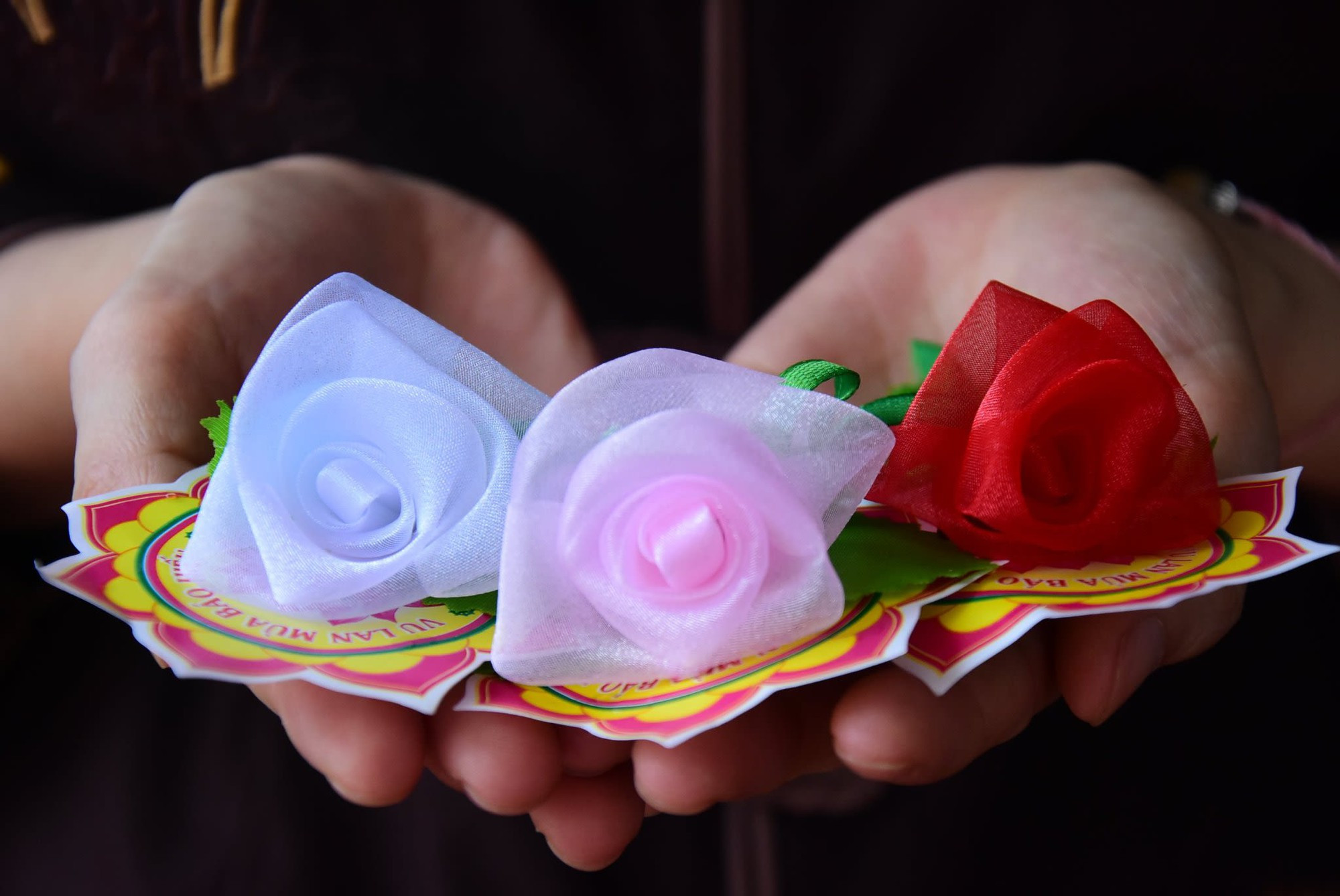 Phật tử thành tâm tham gia nghi thức cài hoa hồng trong lễ Vu Lan, biểu tượng của lòng hiếu thảo và tình yêu thương cha mẹ.