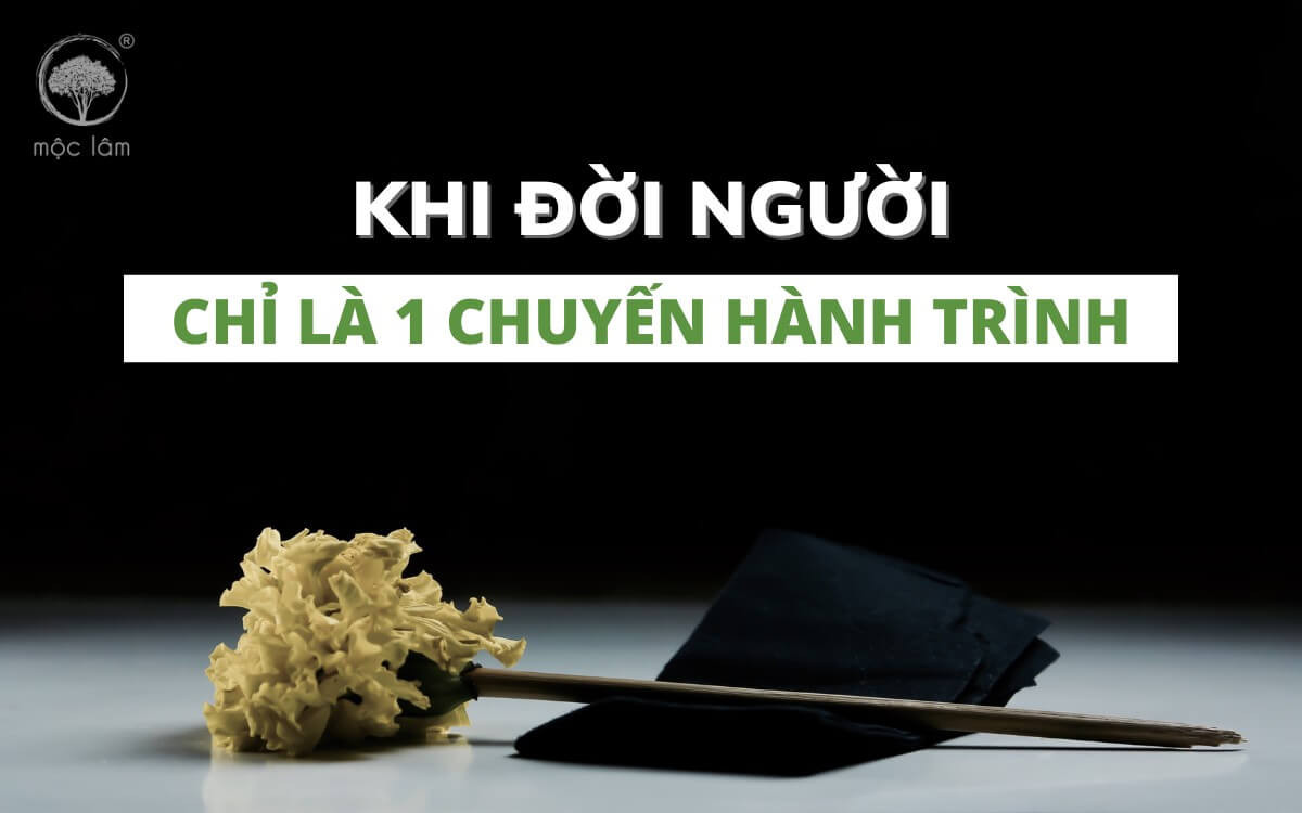 Quy luật vô thường, khổ, vô ngã là cốt lõi của triết lý Phật giáo
