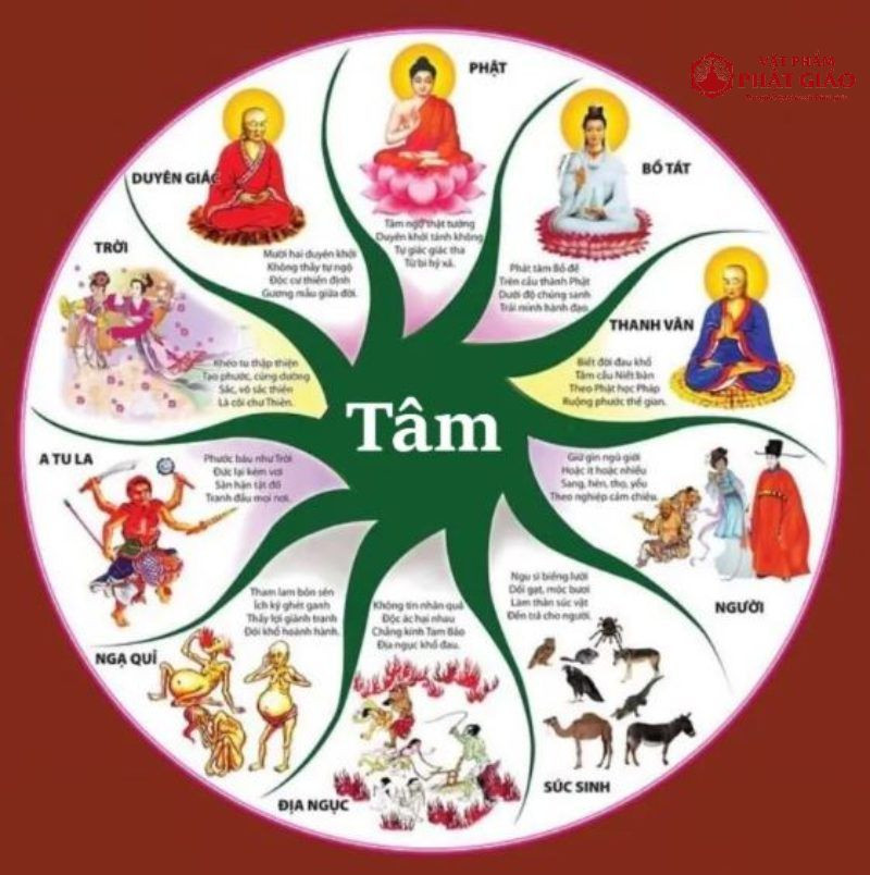 Sáu nẻo luân hồi trong giáo lý Phật giáo và ý nghĩa chuyển kiếp
