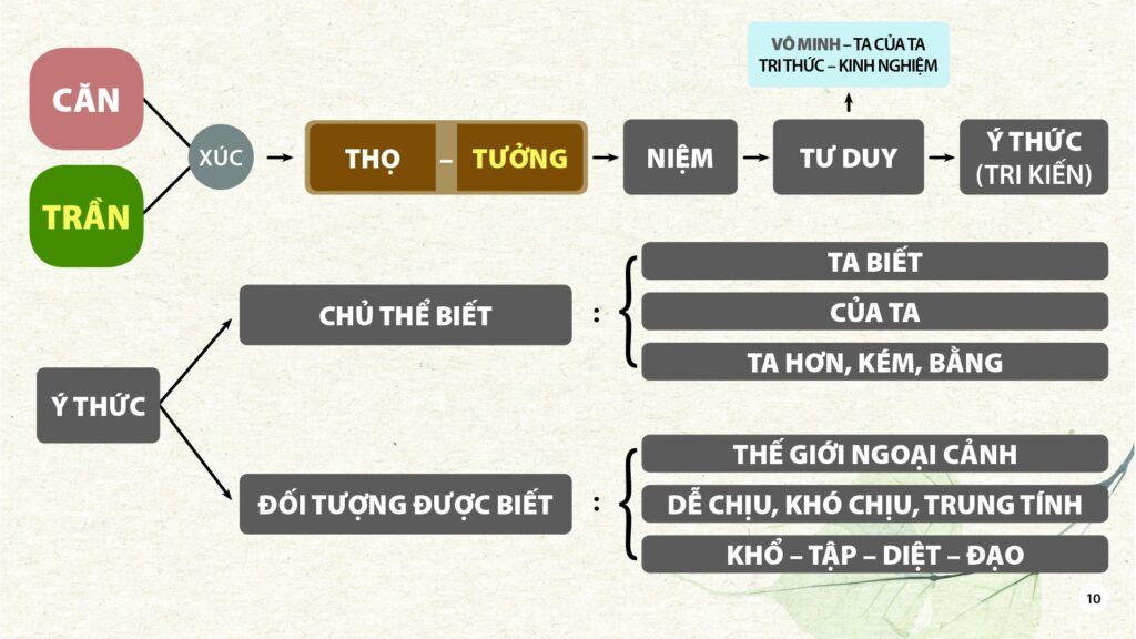 Sơ đồ lộ trình tâm tham sân si và sự hình thành bản ngã trong Phật giáo
