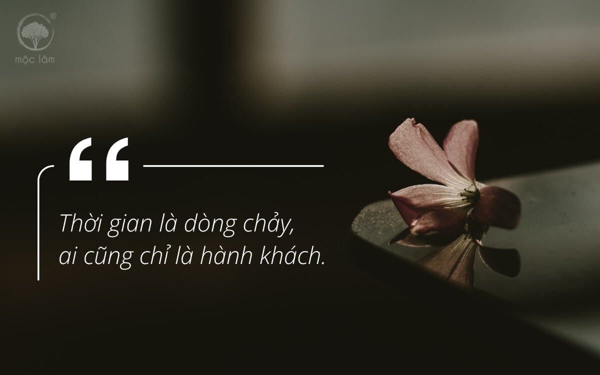 Thời gian là dòng chảy, ai cũng chỉ là hành khách trên hành trình vô thường