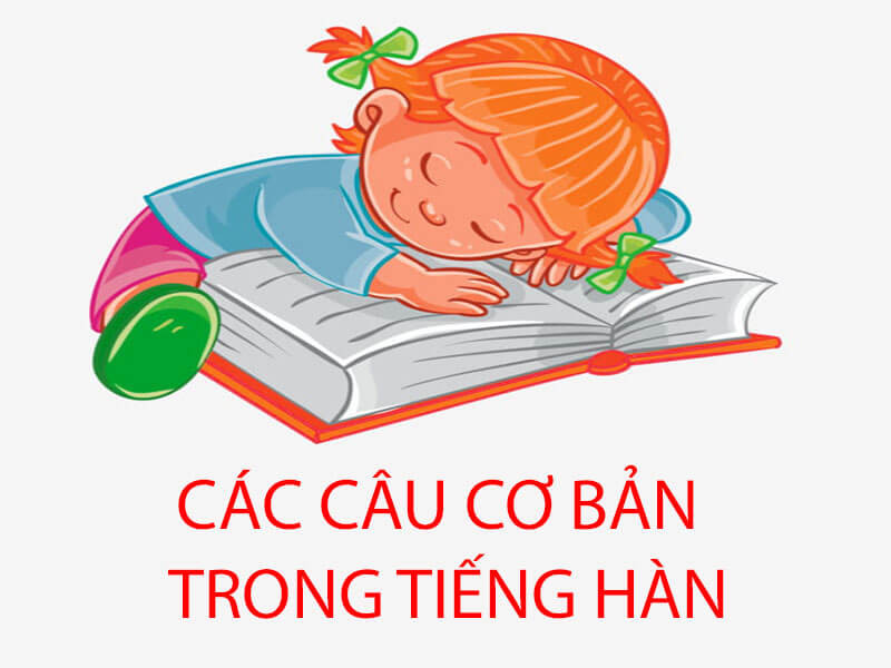 Tổng hợp các câu giao tiếp cơ bản cùng với an tuê trong tiếng Hàn