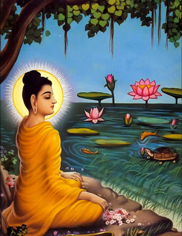 Tư thế thiền của Đức Phật Thích Ca Mâu Ni biểu thị sự nghiêm túc tu hành.