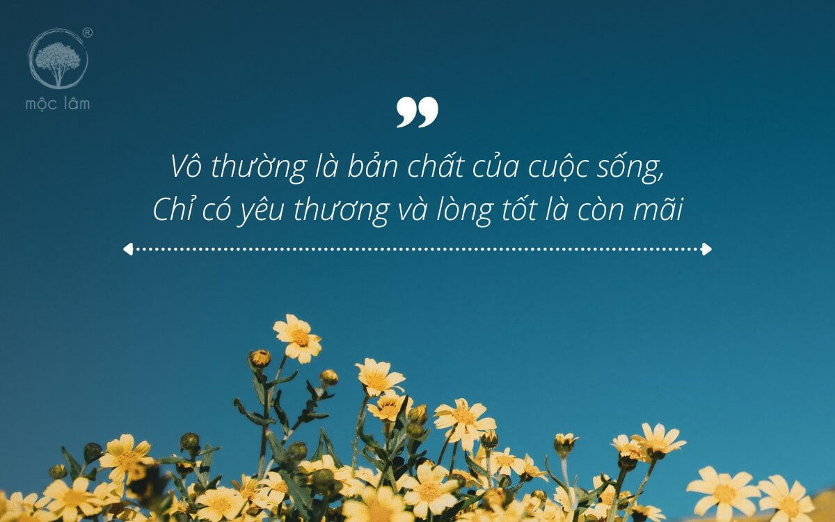 Vô thường là bản chất của cuộc sống, chỉ có yêu thương và lòng tốt là còn mãi.