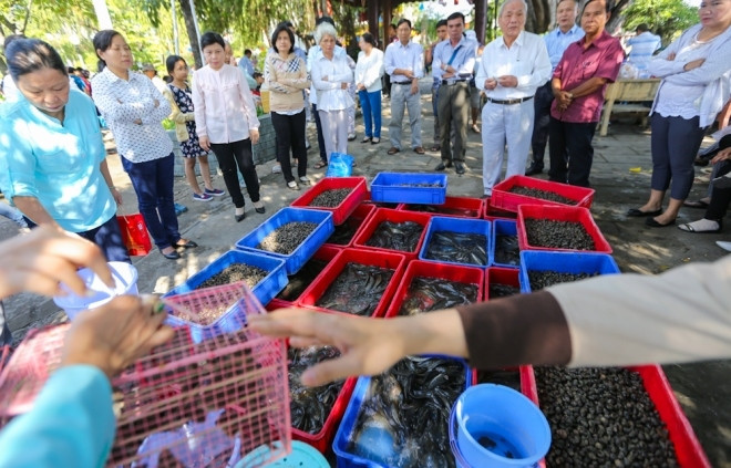 Nghi thức phóng sinh vì lợi ích của người đã khuất