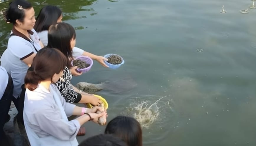 Bài cúng phóng sinh thả ốc