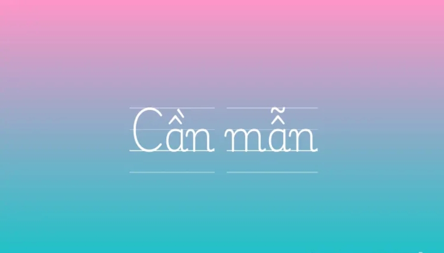 Một số từ đồng nghĩa với “cần mẫn”