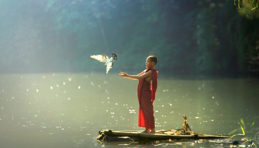 Tôn trọng mọi sự sống của con người và động vật