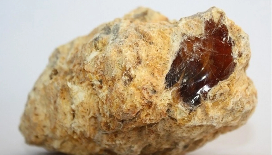 Long diên hương sở hữu nhiều giá trị nổi bật