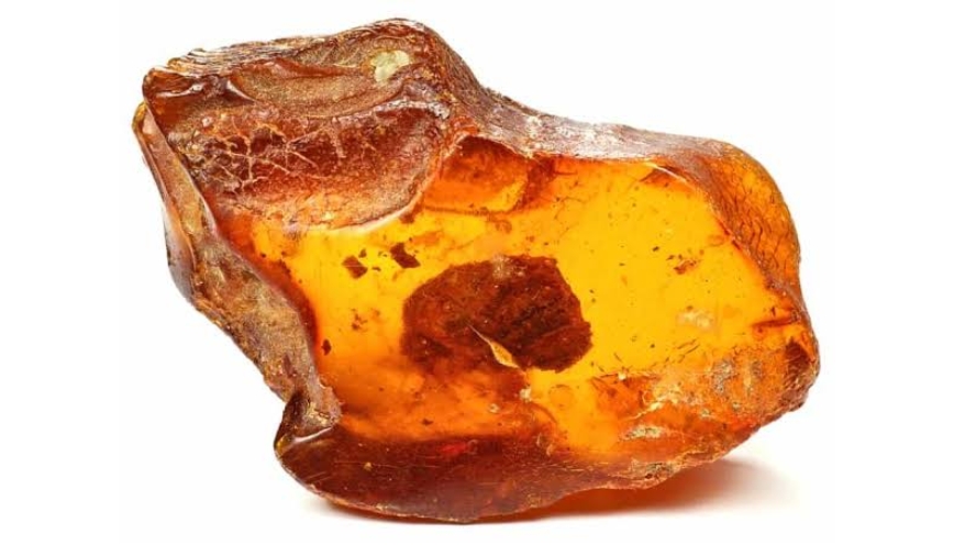 Long diên hương được ứng dụng rộng rãi trong y học cổ truyền