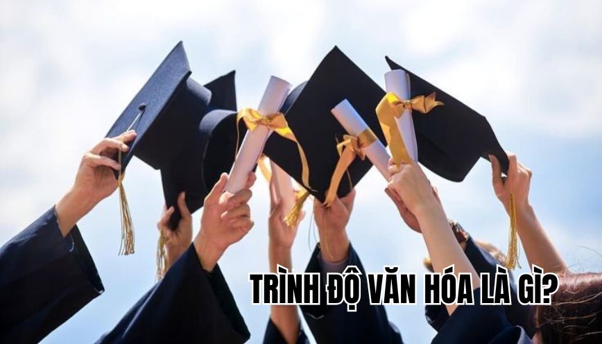 Trình độ văn hóa là gì